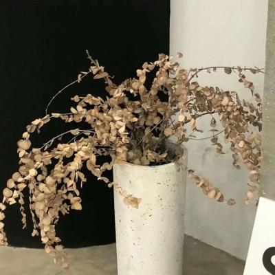 兽设城市场景创作Furry群